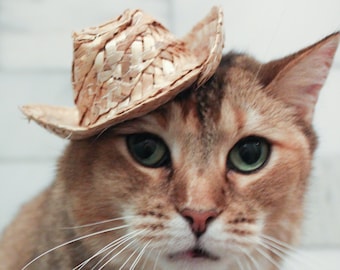 Straw Cowboy Cat Hat Dog Hat w/ FREE SHIPPING