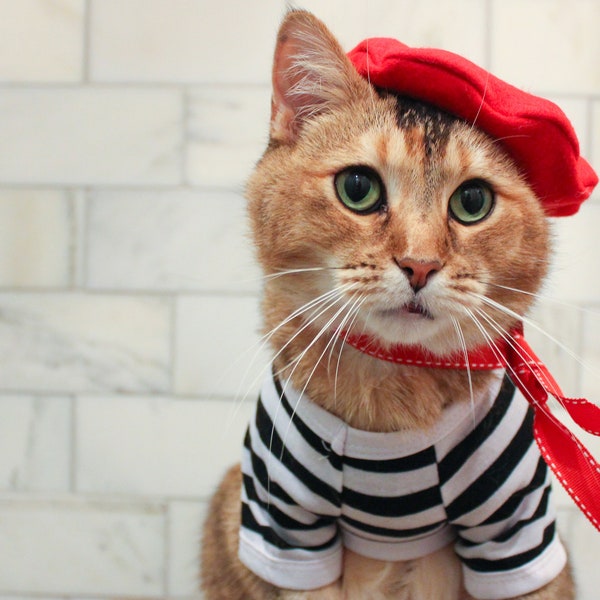 Complete French Cat Outfit- Cat Beret, Ascot and Striped Shirt Pet outfit -- FREE SHIPPING