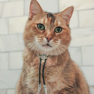 Petite Western Bolo Tie for Your Cat/Dog w/ FREE SHIPPING