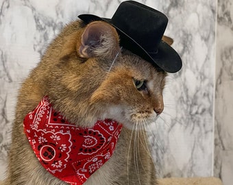 Schwarzer Cowboy Katzen Hut VERSANDKOSTENFREI