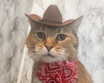 Brown Cowboy Cat Hat FREE SHIPPING