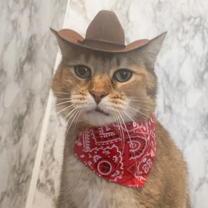 Brown Cowboy Cat Hat FREE SHIPPING image 3