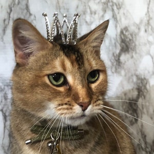 Silver Metal Cat Crown - Cat King or Queen - Crown for Cat, Crown for dog or Crown for Pet FREE SHIPPING