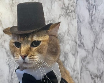 Dark Brown Large Top Hat Cat Hat FREE SHIPPING