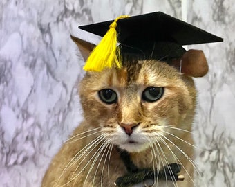 Graduation Cap Cat Hat for your cat FREE SHIPPING!  Add-on custom Tassel--