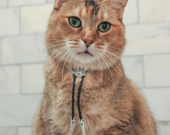 Petite Western Bolo Tie for Your Cat/Dog w/ FREE SHIPPING