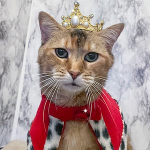 Gold Metal Cat Crown - Cat King or Queen for your ROYAL feline, Crown for your cat, Biggie Smalls / Prince John FREE SHIPPING
