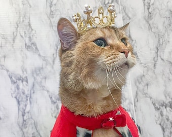 Corona de gato de metal Rey o reina gato Corona para gato Corona para perro Corona  para mascota Corona para lo que sea -  España