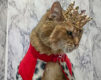 Metal Cat Crown - Cat King or Queen - Crown for Cat - Crown for Dog - Crown for Pet - Crown for whatever!