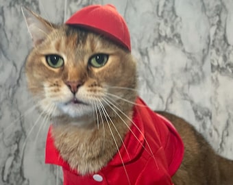 Mid size Red Baseball Cat Hat - Baseball Cap - Backwards Hat - Fred Durst Player Cat Hat