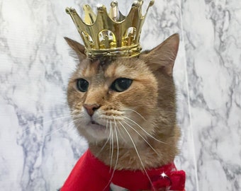 Corona de gato ligero - Corona de rey gato o reina para gato - Corona para perro - Corona para mascota - corona de perro - corona de mascota
