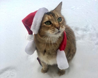 Christmas Santa Hat for your Cat/Dog Cat Hat-- Santa Cat Hat!