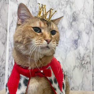 Mini Gold Metal Cat Crown - Cat King or Queen - Crown for Cat, Crown for dog or Crown for Pet