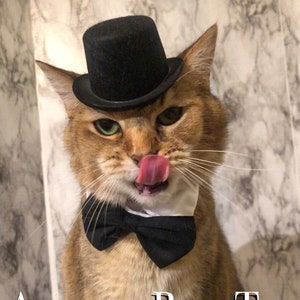 Black Top Hat Cat Hat FREE SHIPPING