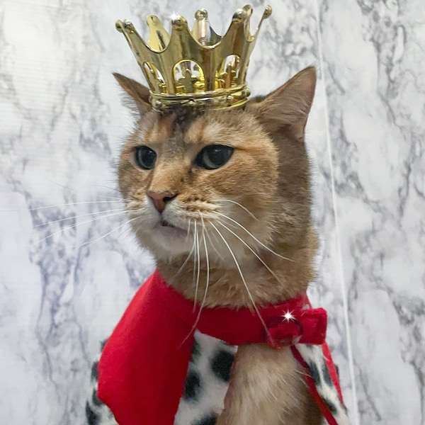 Light Cat Crown - Cat King or Queen Crown for Cat - Crown for dog - Crown for pet - dog crown - pet crown