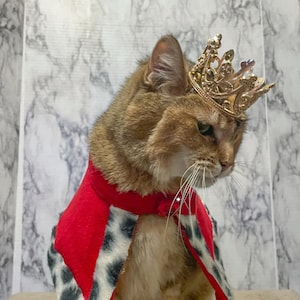 Metal Cat Crown - Cat King or Queen - Crown for Cat - Crown for Dog - Crown for Pet - Crown for whatever!