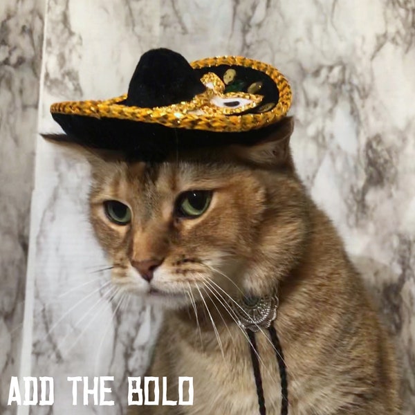 Sombrero for Cat dog or Pet, Mexican Cat Hat, Sombrero for dog with Free shipping, Bandito Cat