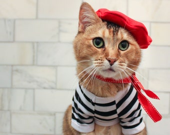 Complete French Cat Outfit- Cat Beret, Ascot and Striped Shirt Pet outfit -- FREE SHIPPING