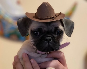 Chapeau de cowboy marron pour chien LIVRAISON GRATUITE