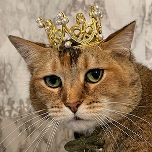 Pearled Cat Crown - Cat King or Queen - Crown for Cat - Crown for Dog - Crown for Pet - Crown for whatever!