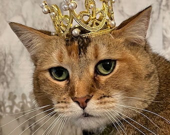 猫の王冠 - 猫用プリンセスクラウン - ペットクラウン - 母の日ギフト