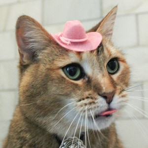 MINI Pink Cowboy Cat Hat FREE SHIPPING