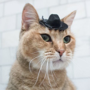 MINI Zwarte Cowboy Kat Hoed GRATIS VERZENDING