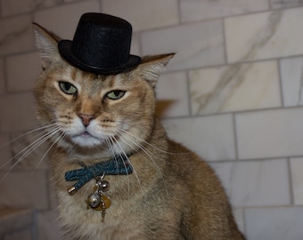 cat hat etsy