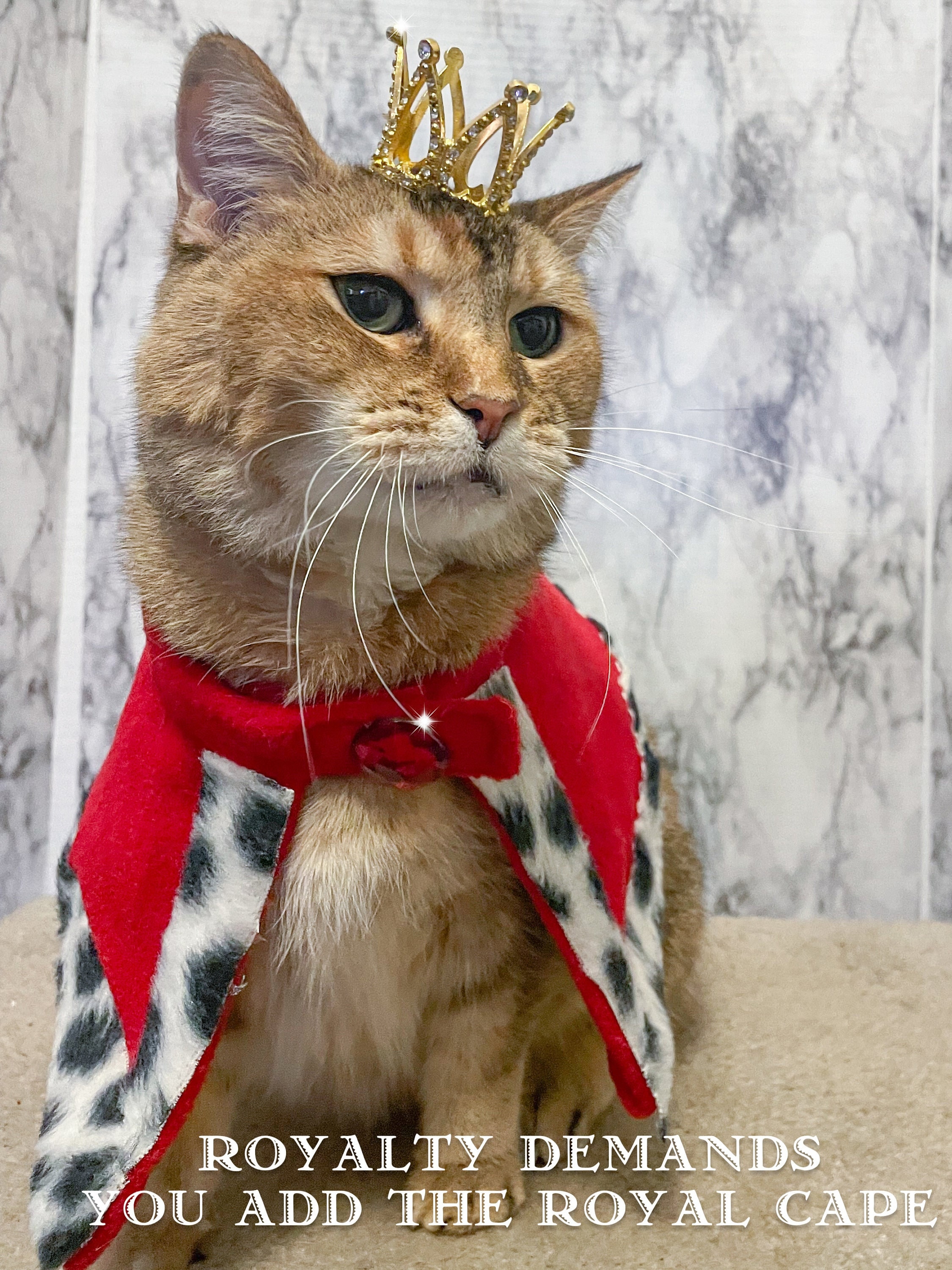 Mini Gold Metal Cat Crown Cat King or Queen Crown for Cat Etsy