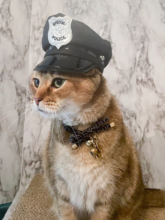 Cat with sales cap