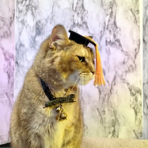 Gorro de graduación de tamaño mini para tu gato ENVÍO GRATIS Color de borla personalizado adicional imagen 2