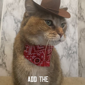 Brown Cowboy Cat Hat FREE SHIPPING image 9