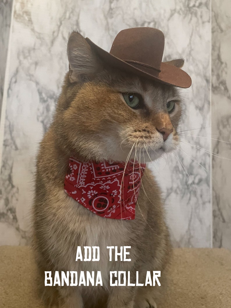 Brown Cowboy Cat Hat FREE SHIPPING image 9