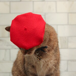 Red Beret Hat for your Cat FREE SHIPPING image 7