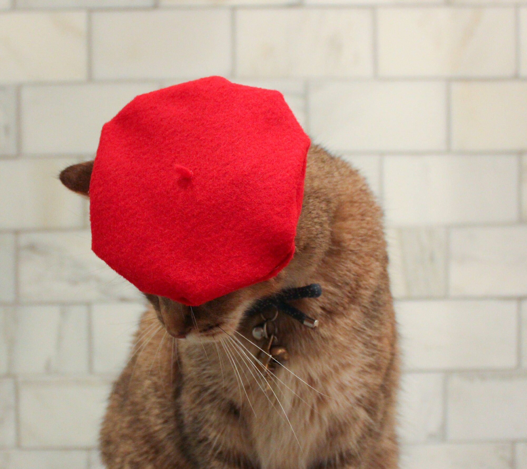 7477 Summer Beret Handmade Hot Cat Ear Style Breathable Mesh Thin Hat Red Amazon.com: Cat and Human MATCHING berets! Twinning with the  main image 4