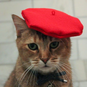 Red Beret Hat for your Cat FREE SHIPPING image 2