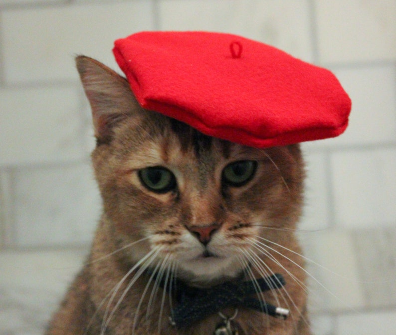 Red Beret Hat for your Cat FREE SHIPPING image 2