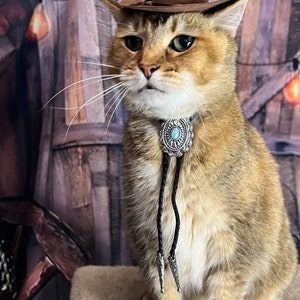 Brown Cowboy Cat Hat FREE SHIPPING image 2
