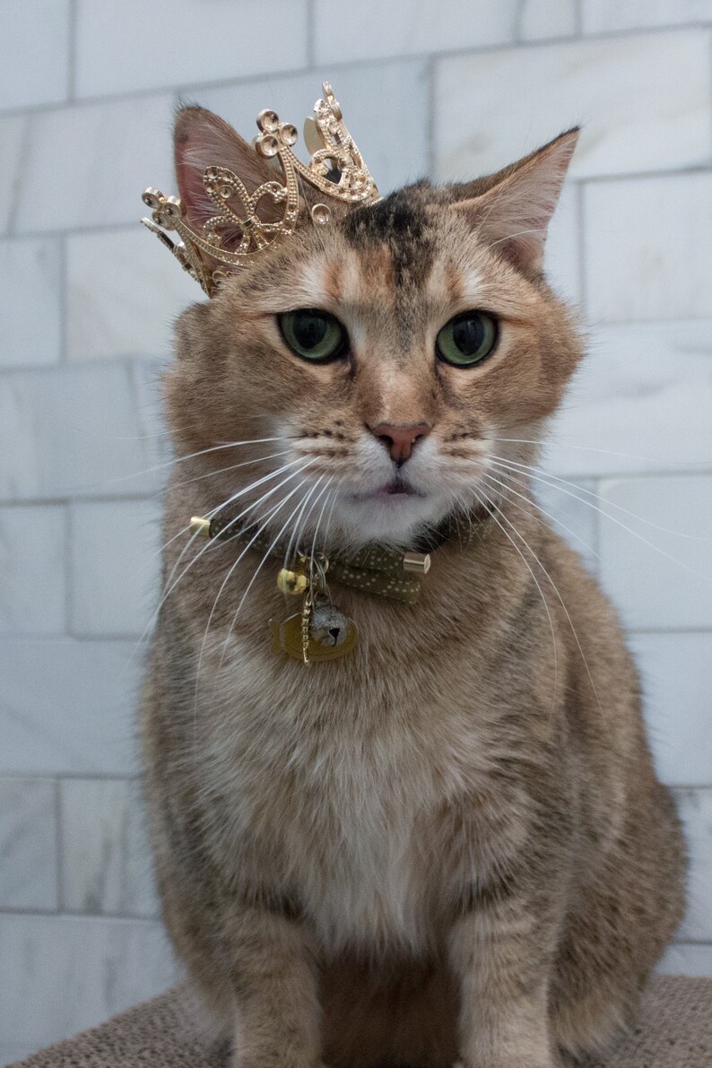 Metal Cat Crown Cat King or Queen Crown for Cat Crown Etsy