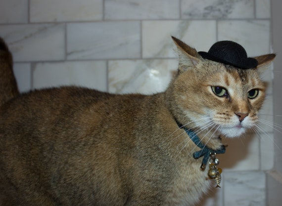 VERSAND Kerl KOSTENLOSER Minigröße Schwarzer Bowler-KatzenhutHarter Katzenhut