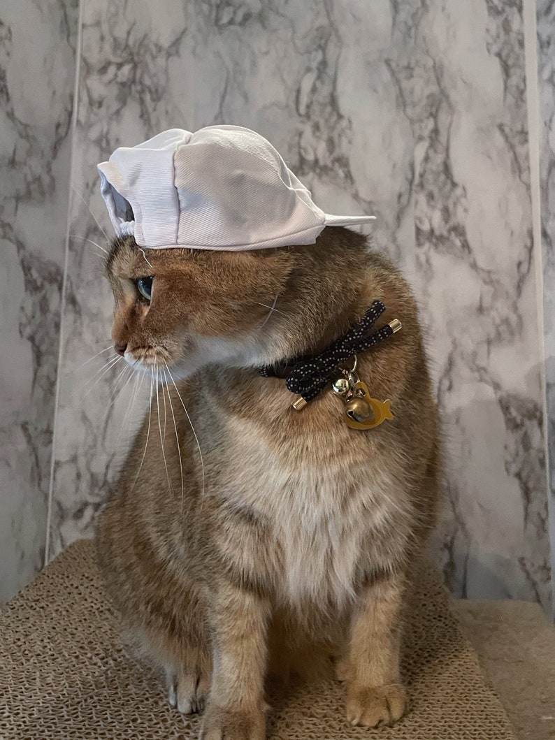 Cloth White Baseball Cat Hat Baseball Cap Backwards Hat Etsy