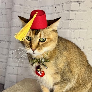 May include: A brown tabby cat wearing a red fez with a yellow tassel and a green and gold collar with a heart-shaped tag that says "Lila".