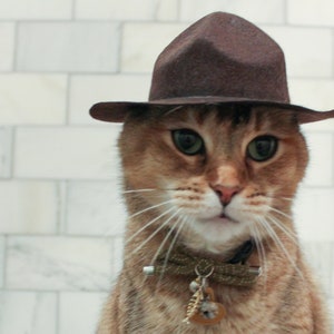 Large Trooper Cat Hat for your Cat, Ranger Cat Hat for your Cat