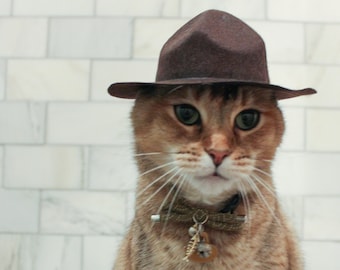 Large Trooper Cat Hat for your Cat, Ranger Cat Hat for your Cat