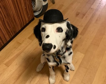 Black Bowler Dog Hat-- Tough guy Dog Hat FREE SHIPPING