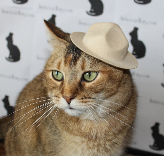 Canadian Mountie Cat Hat for Your Cat Etsy Ireland