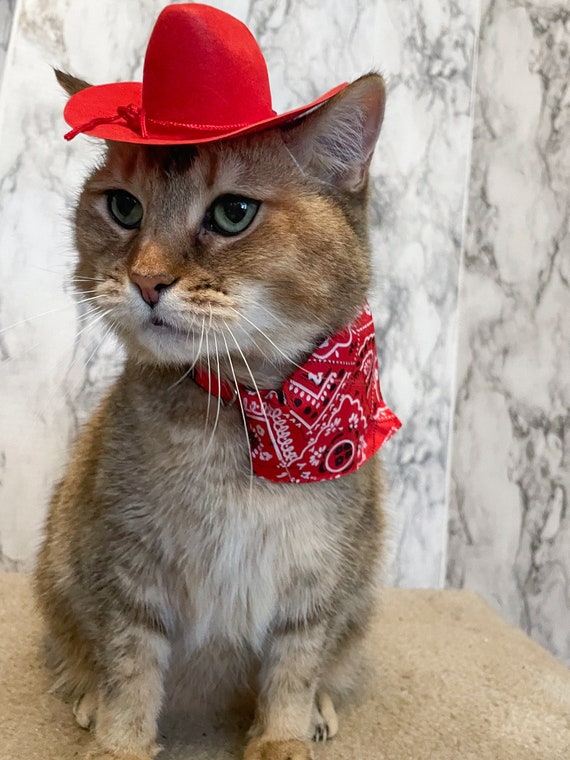 Cappello da gatto rosso da cowboy per il tuo gatto -  Italia