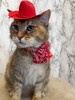 Red Cowboy Cat Hat for your Cat 