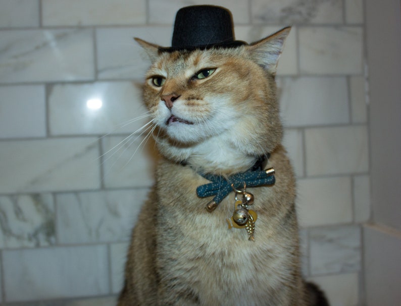 Black Top Hat Cat Hat FREE SHIPPING Etsy