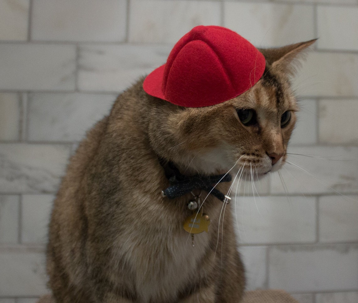 Mid Size Red Baseball Cat Hat Baseball Cap Backwards Hat Etsy